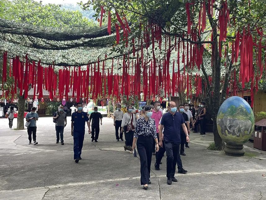 【安全環(huán)?！吭颇鲜“参瘯谑讲榻M到原始森林公園檢查指導(dǎo)-1.jpg